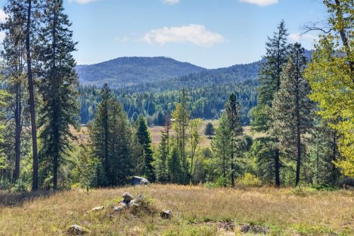 Real Estate Photography Coeur D Alene Idaho 169